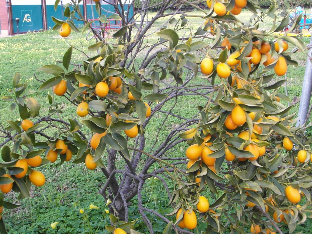 מילאצו Agriturismo Il Gelsomino Ritrovato מראה חיצוני תמונה