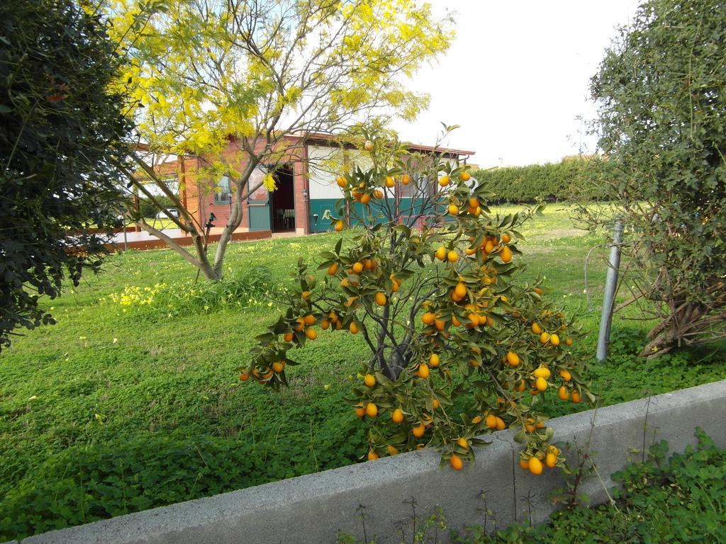 מילאצו Agriturismo Il Gelsomino Ritrovato מראה חיצוני תמונה