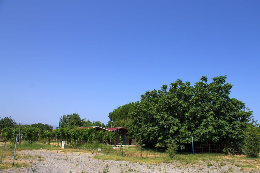 מילאצו Agriturismo Il Gelsomino Ritrovato מראה חיצוני תמונה