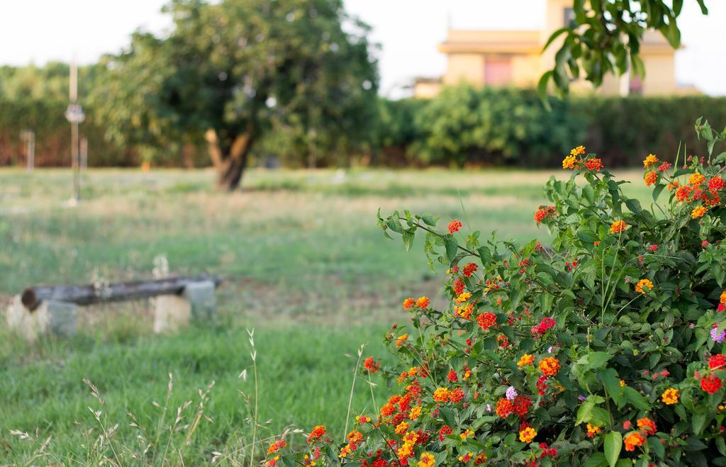 מילאצו Agriturismo Il Gelsomino Ritrovato מראה חיצוני תמונה