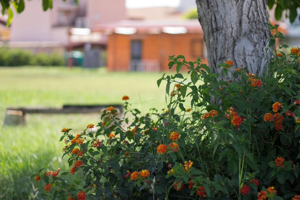 מילאצו Agriturismo Il Gelsomino Ritrovato מראה חיצוני תמונה